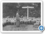 A Woman Shepherdess In Epsom