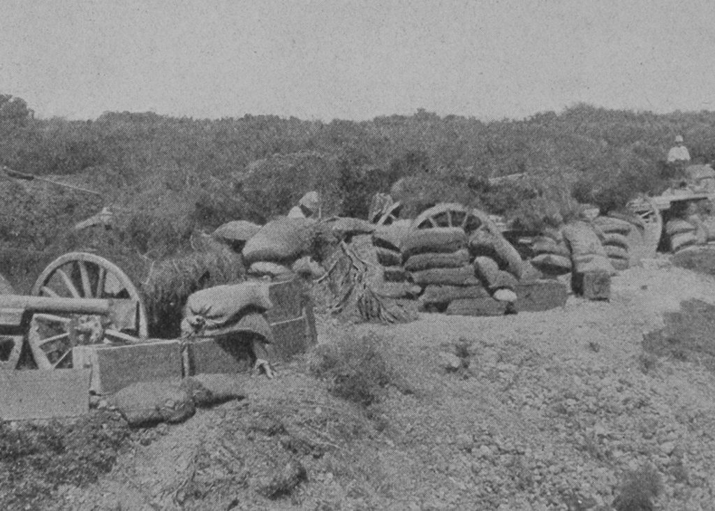 A Battery Of French 75s On A Sand Ridge