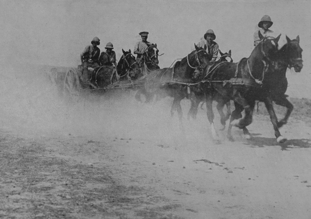 Galloping Up To The Firing Line With Ammunition