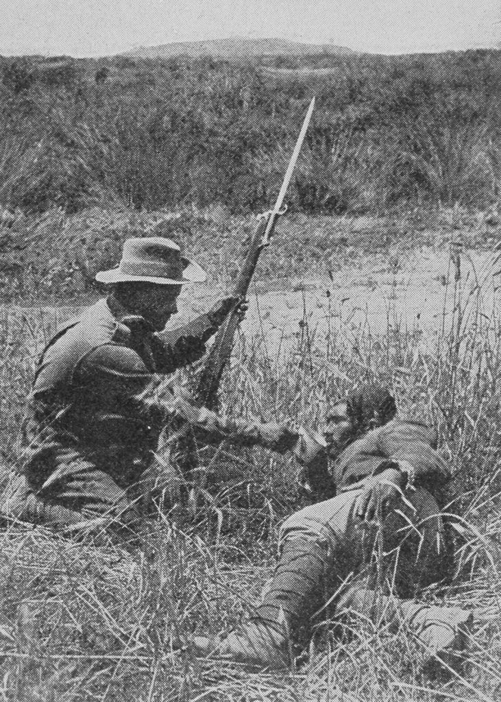 Giving A Drink To A Wounded Turk