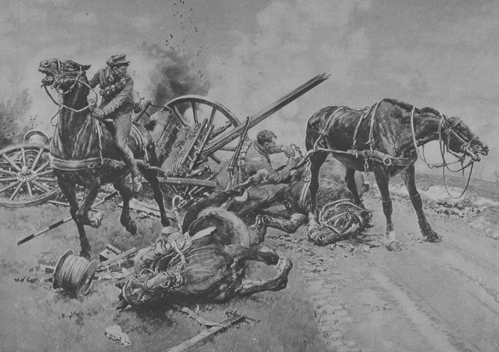 Horses Rescued By Royal Munster Fusiliers From A Wagon Shattered By Turkish Gun Fire