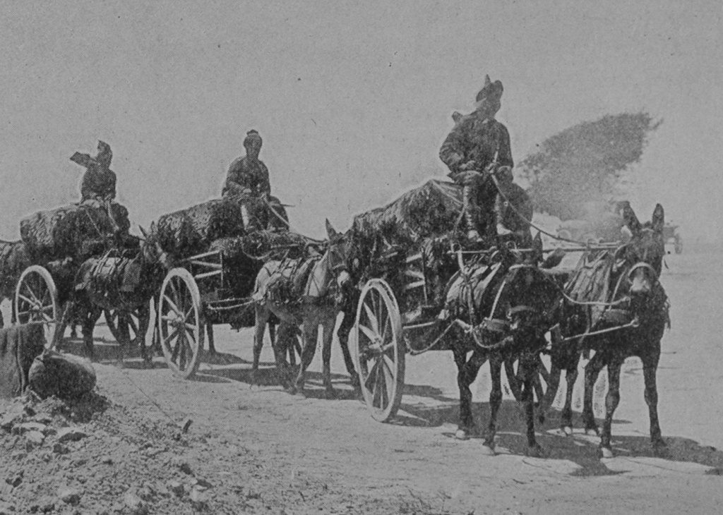 Indian Troops In The Dardanelles