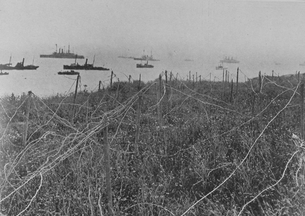 Miles Of Barbed Wire At Gallipoli