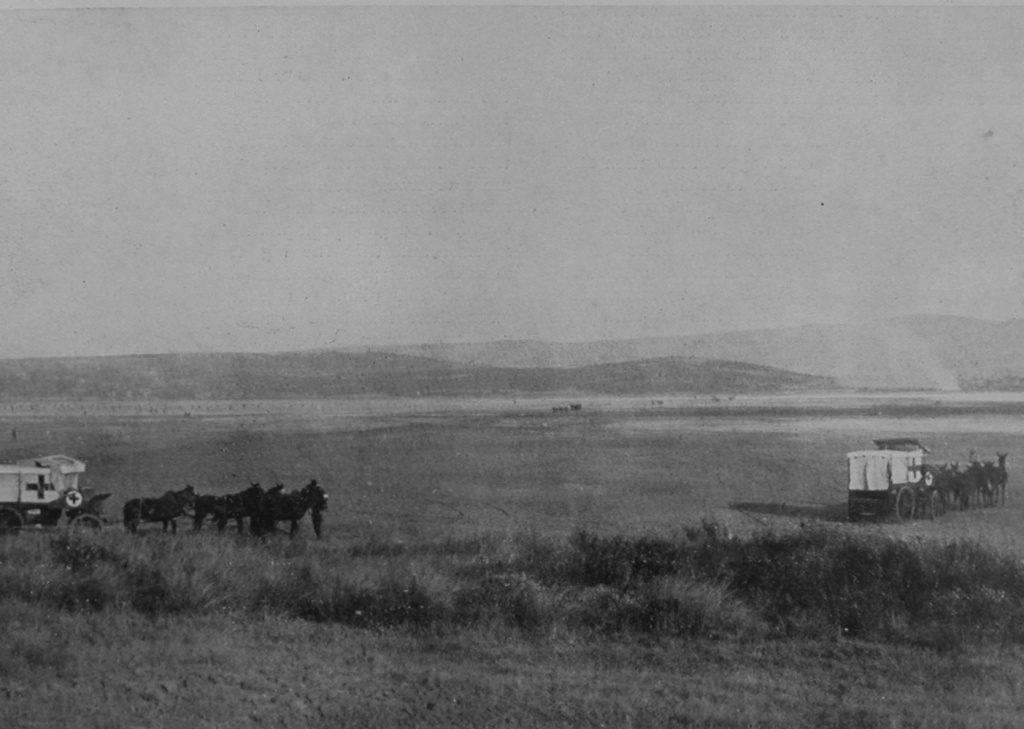 Red Cross Wagons Waiting At The Edge Of The Salt Lake Suvla Bay Gallipoli
