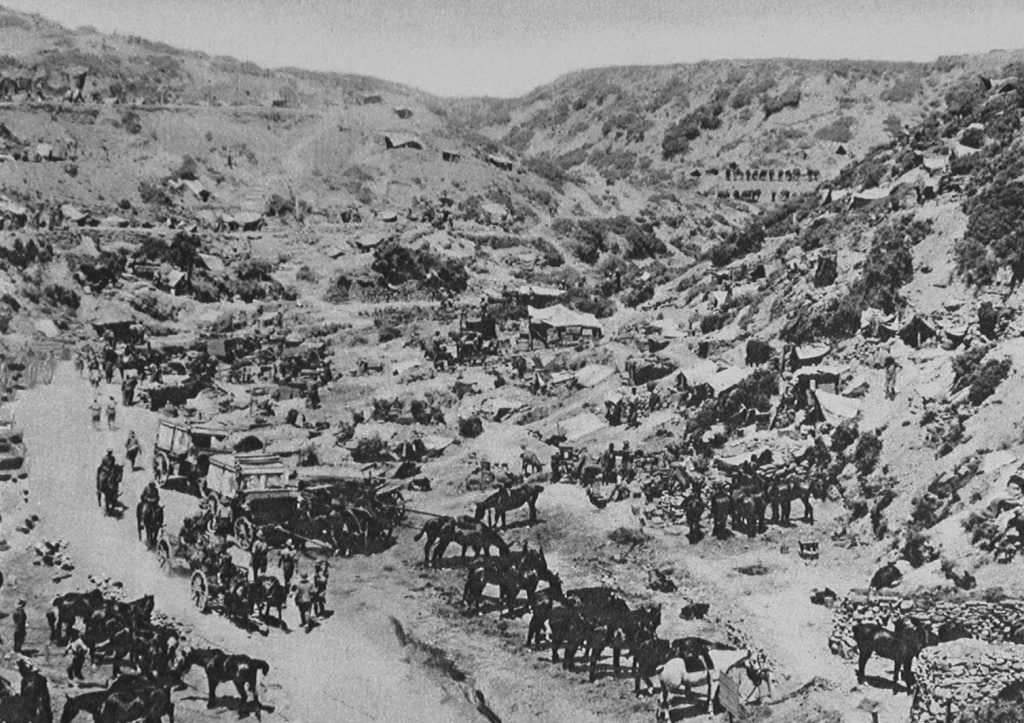 Transport Horses Waggons And Men Congregated Amid Typical Scenery Of Gallipoli
