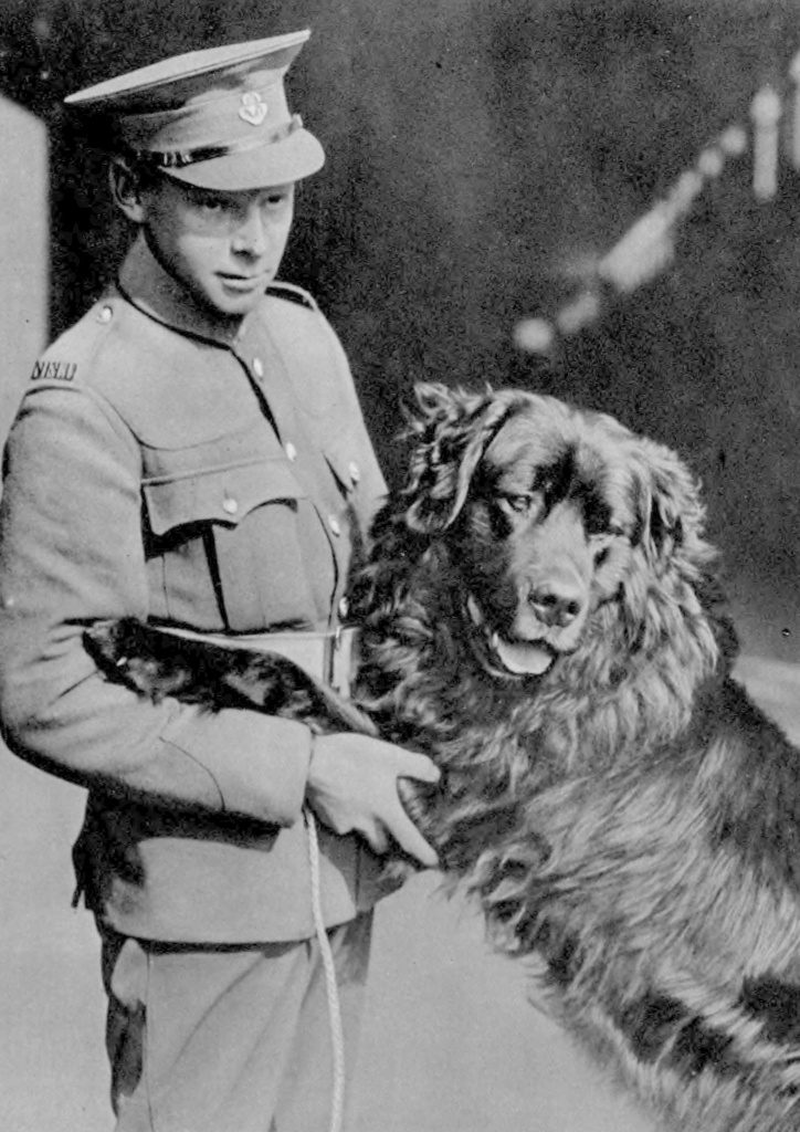 The Newfoundland Regiment Band Celebrating The 420th Anniversary Of Newfoundland With Their Mascot